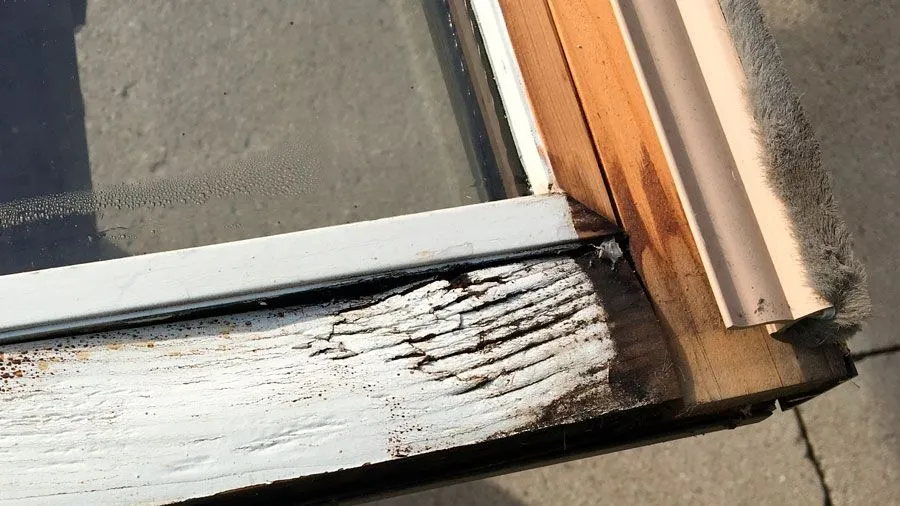 Replacement vs. New Construction Windows: Key Guide 2026