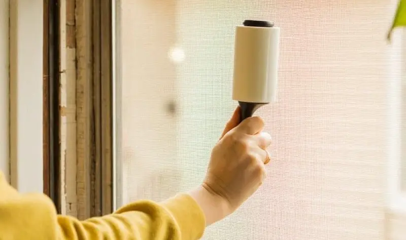 How to Clean Window Screens: Easy Guide & Pro Tips 2026
