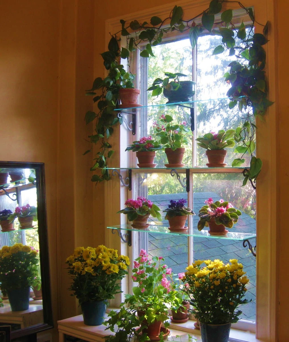 15 Garden Window Ideas to Brighten Your Home [2026]